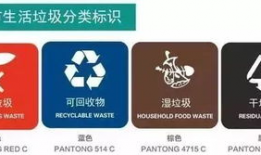 垃圾分类视频,视频解析与实操技巧