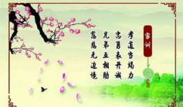 家风家训演讲视频,共筑美好未来